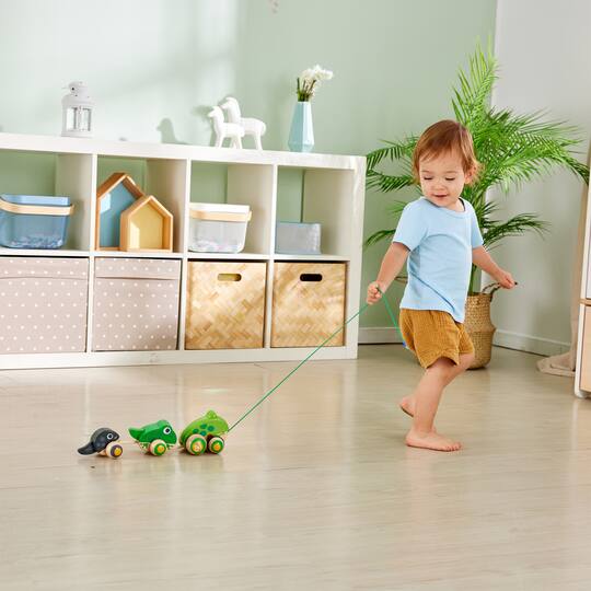 Hape Pull-Along Frog Family Wooden Toddler Toy